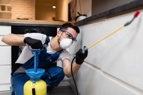 Wildlife Control Services in Gustine, CA