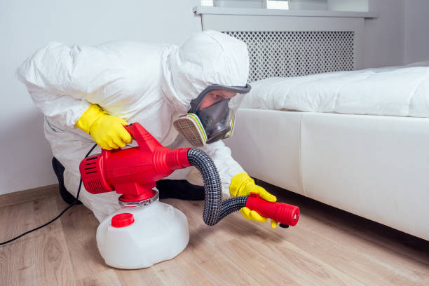 Best Affordable Pest Control Services  in Gustine, CA