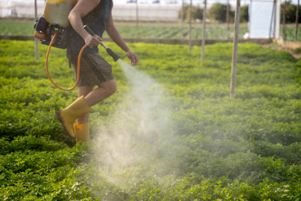 Best Pest Inspection Near Me  in Gustine, CA