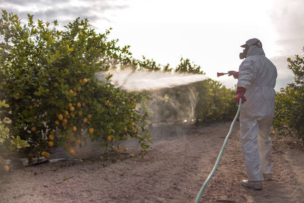 Best Cockroach Control Services  in Gustine, CA